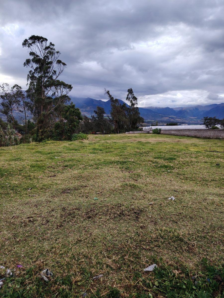 Terreno de 4000 m² en Venta en Atuntaqui, Imbabura — imagen 3