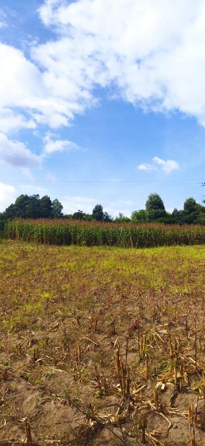 Vendo Terreno Campestre, en Urbanización Privada, Norte de Guayllabamba — imagen 5