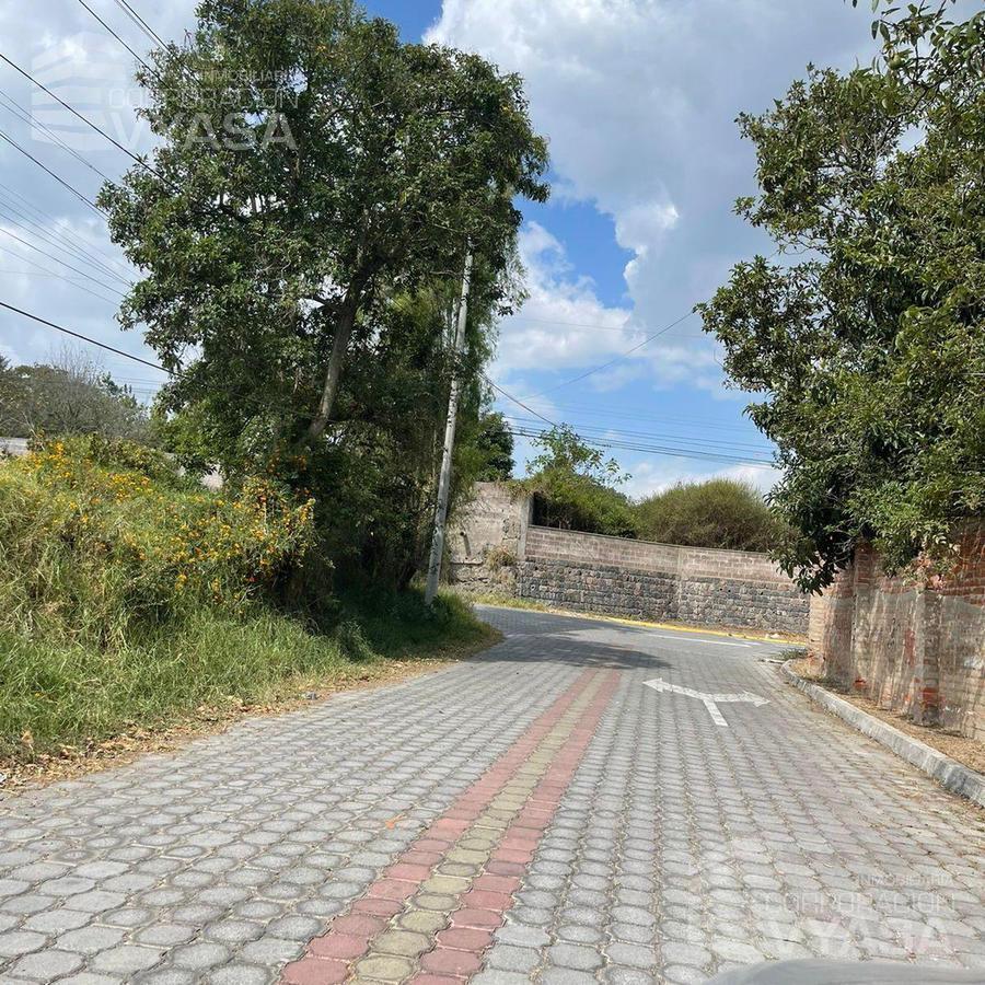 Puembo - Sector El Avión, Terreno 2.500 m² en Venta — imagen 4