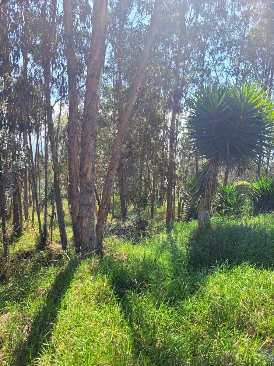 Nayón - Terreno de 1.500 m² en Venta Dentro de Urbanización — imagen 6