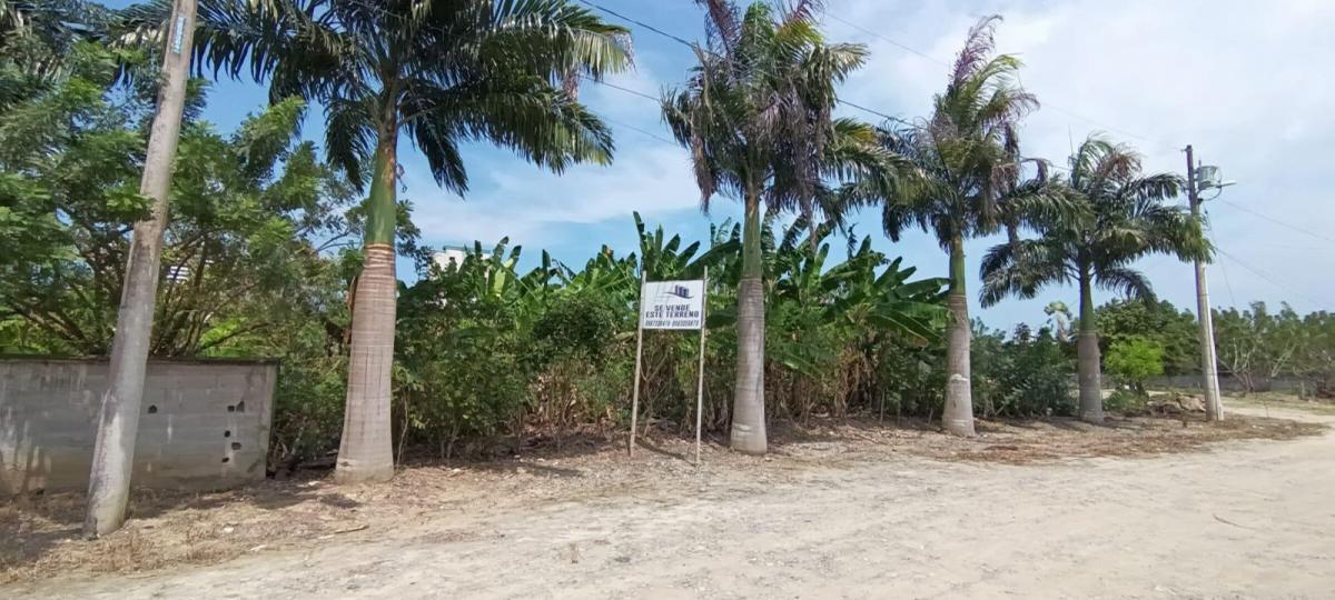 Vendo Lindo Terreno de 1800 m² en Tonsupa, Av del Pacífico, Acepto Ofertas — imagen 5
