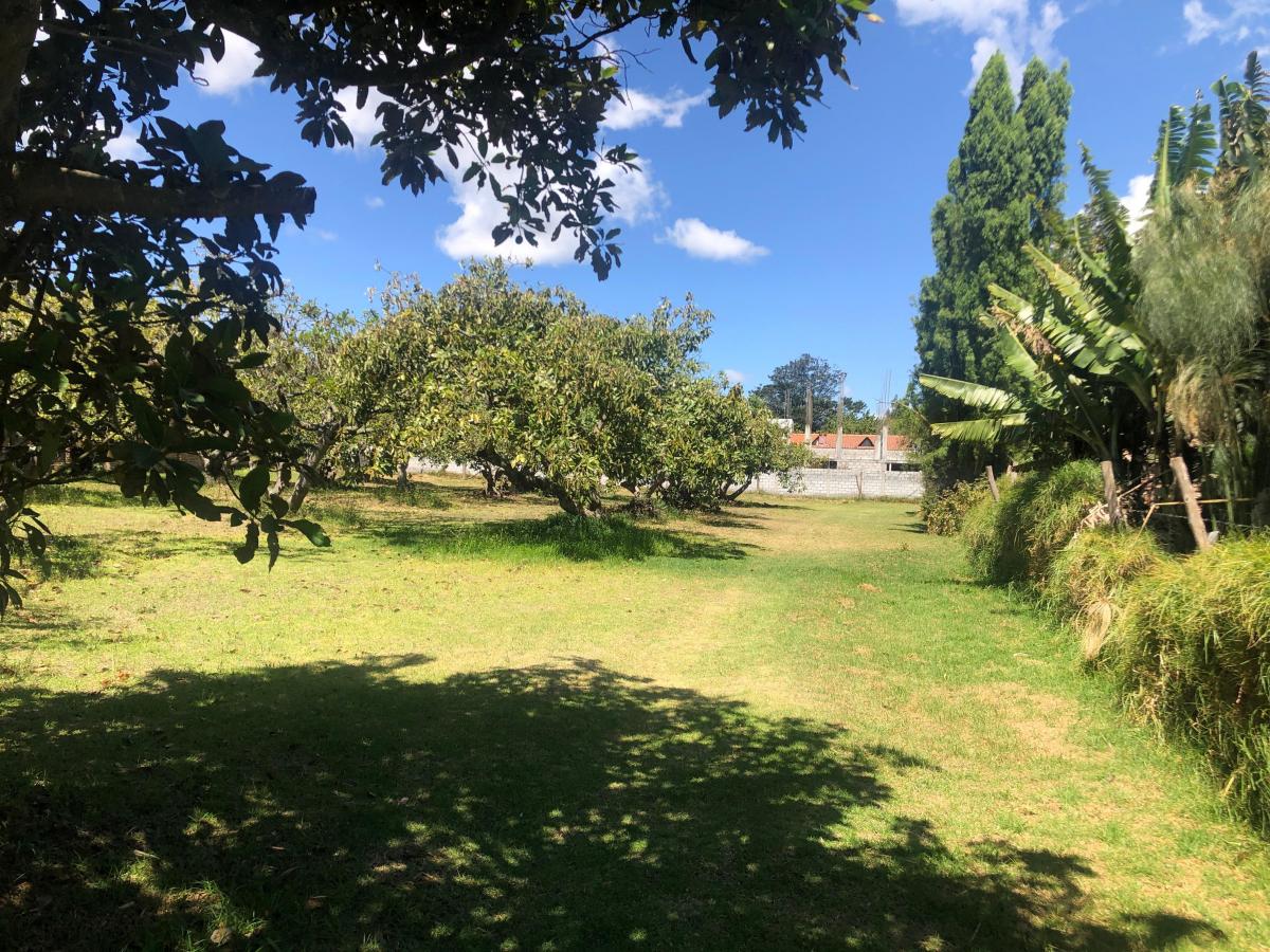 Venta Terreno 4.553 m² Av Universitaria, La Morita, Tumbaco — imagen 5