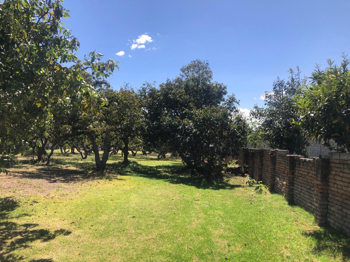 Venta Terreno 4.553 m² Av Universitaria, La Morita, Tumbaco — imagen 3