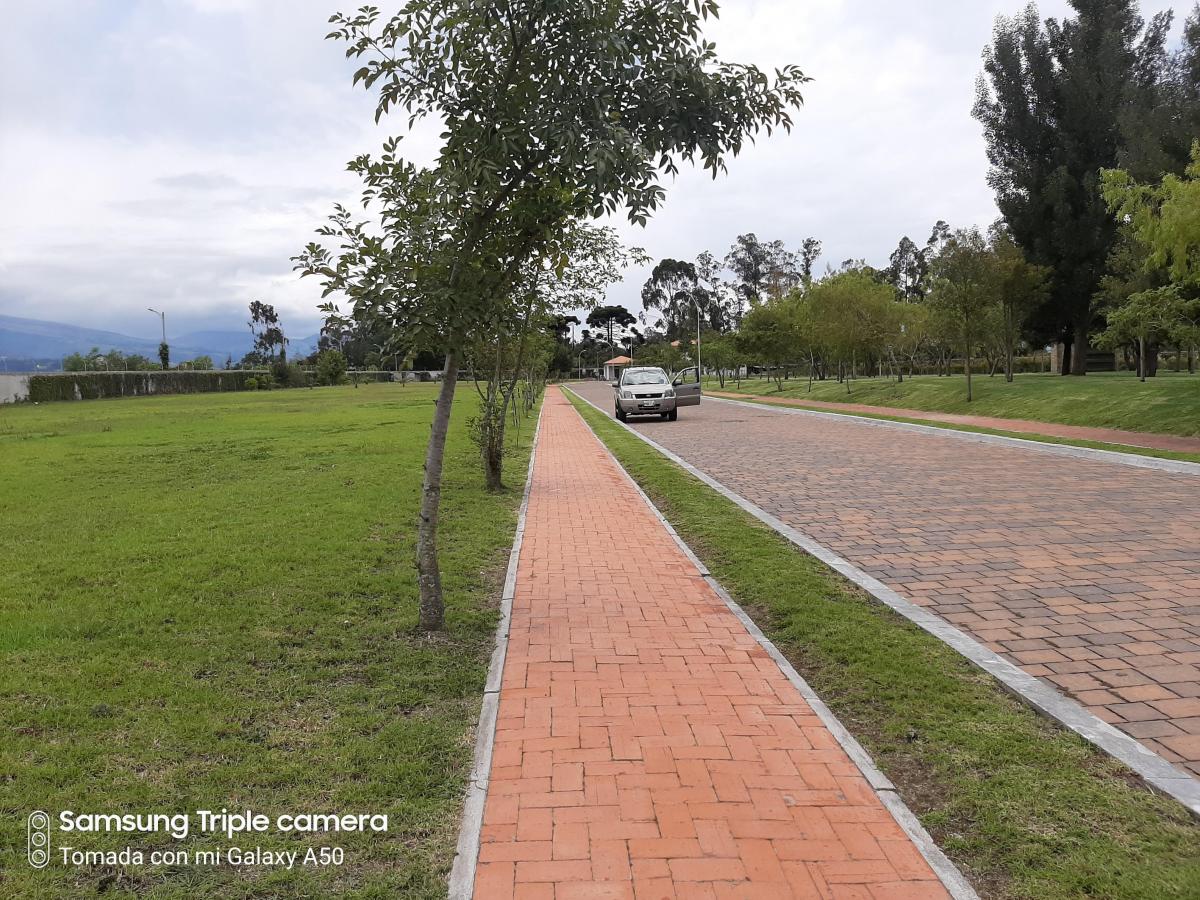 Puembo Dentro Urbanizacion Exclusiva Vendo 2.350 m² Terreno Plano — imagen 3