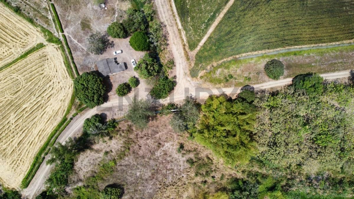 Inversión Estratégica: 145ha de Alta Productividad Ideal Cacao, Caña, Banano. Dian, Guayas — imagen 4