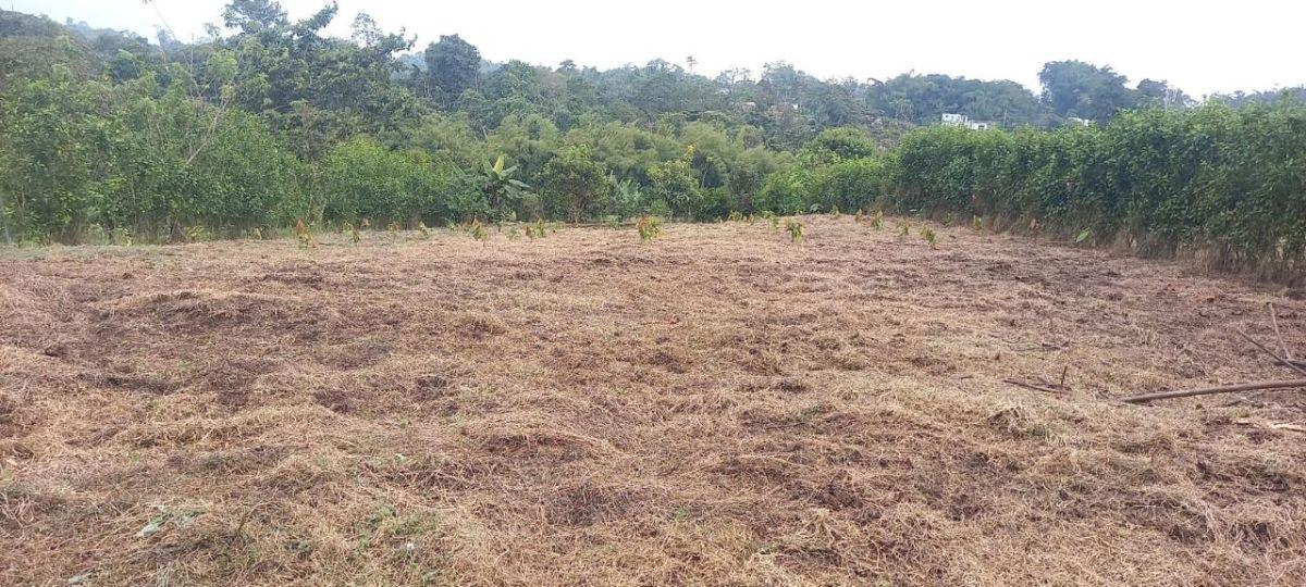 Terreno de Venta en Pedro Vicente Maldonado — imagen 3