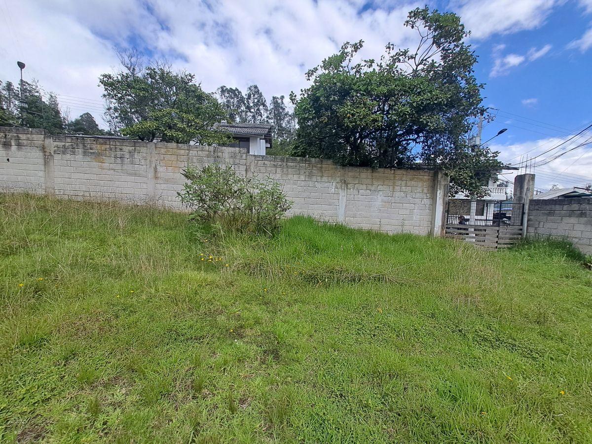 Terreno en Venta en Urbanización Portón de Bellavista — imagen 5