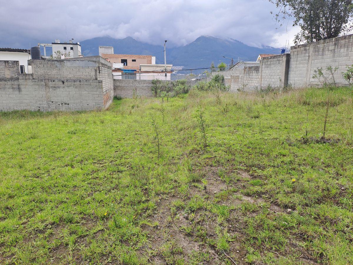 Terreno en Venta en Urbanización Portón de Bellavista — imagen 4