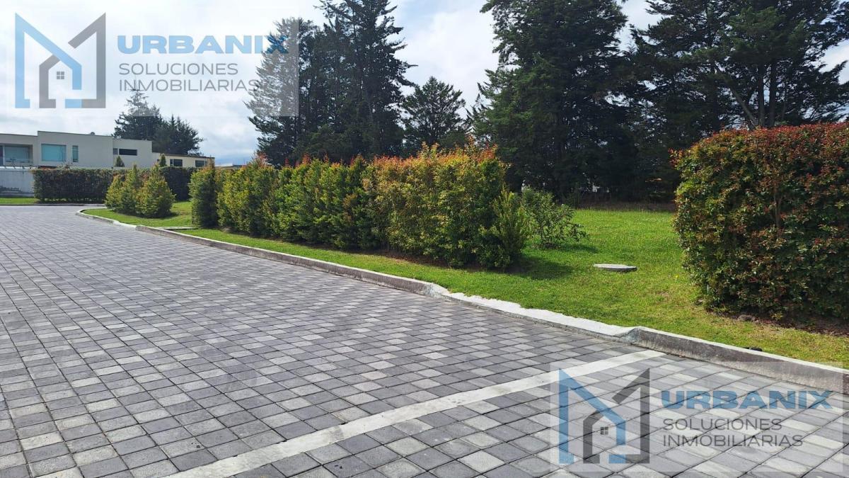 Terreno en Puembo — imagen 5