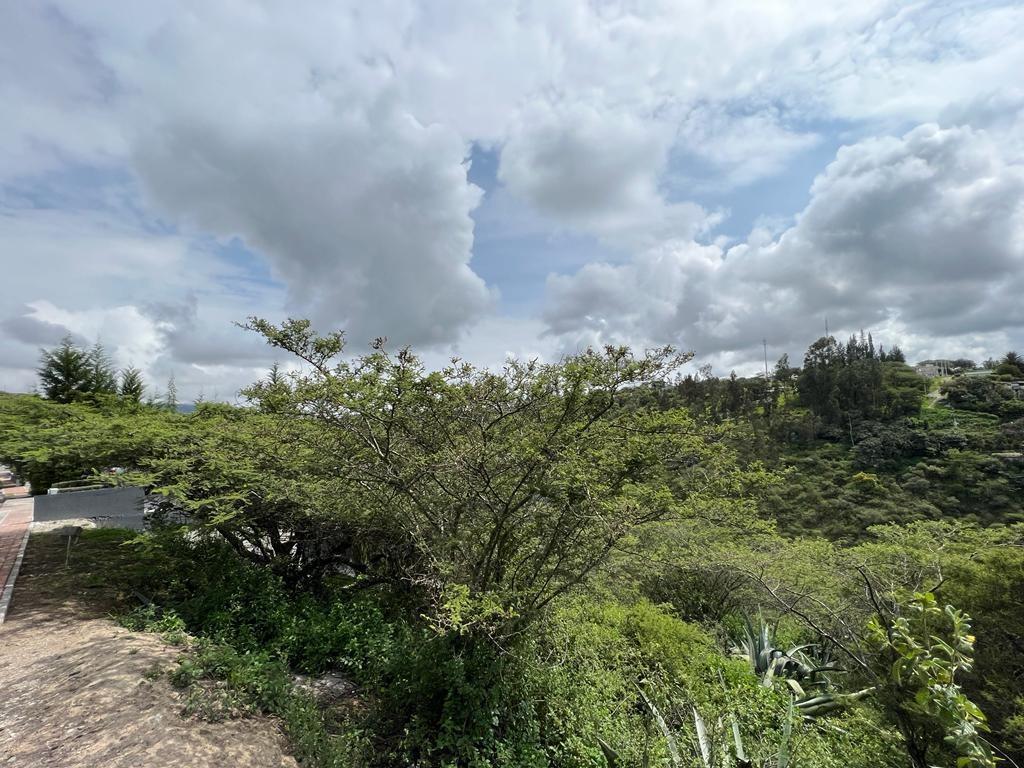 Terreno en Venta Sector Puembo — imagen 5