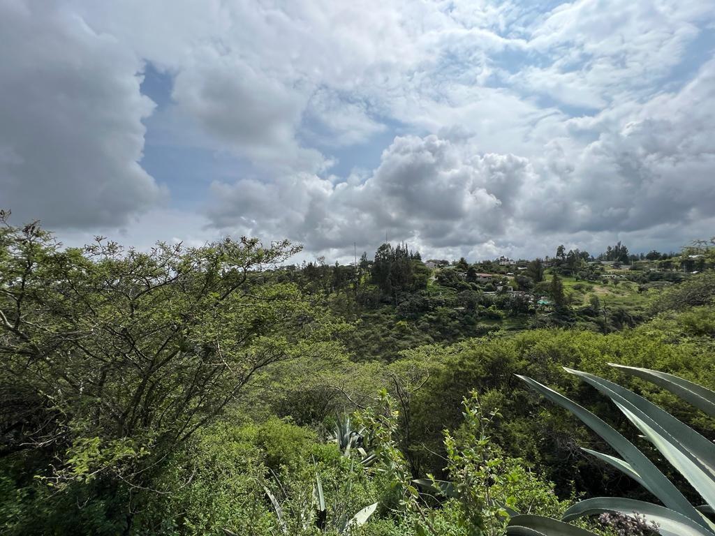 Terreno en Venta Sector Puembo — imagen 3
