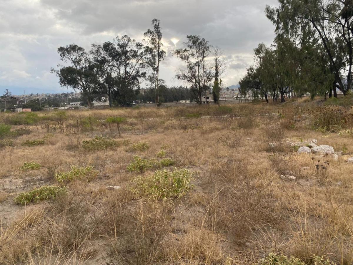Terreno de 24900 m² en Venta en Calderón — imagen 5