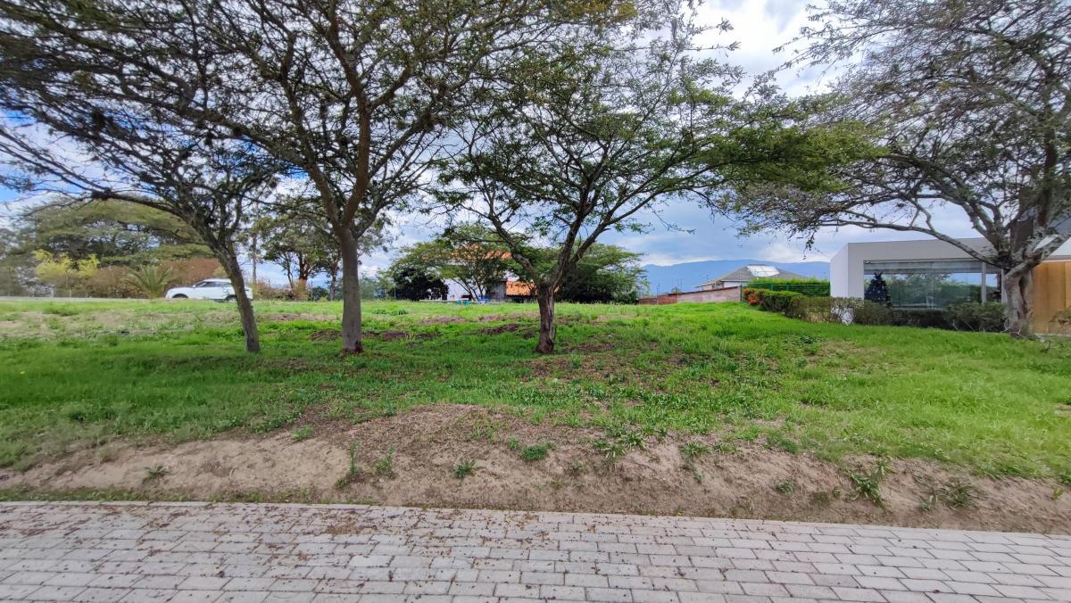 Venta Terreno Tumbaco Urbanización Exclusiva Colegio Cervantes 1096 m² — imagen 5