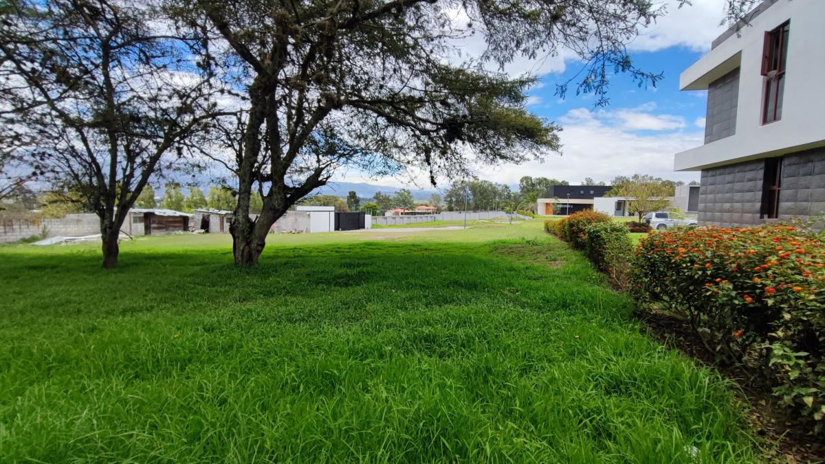 Venta Terreno Tumbaco Urbanización Exclusiva Colegio Cervantes 1096 m² — imagen 4