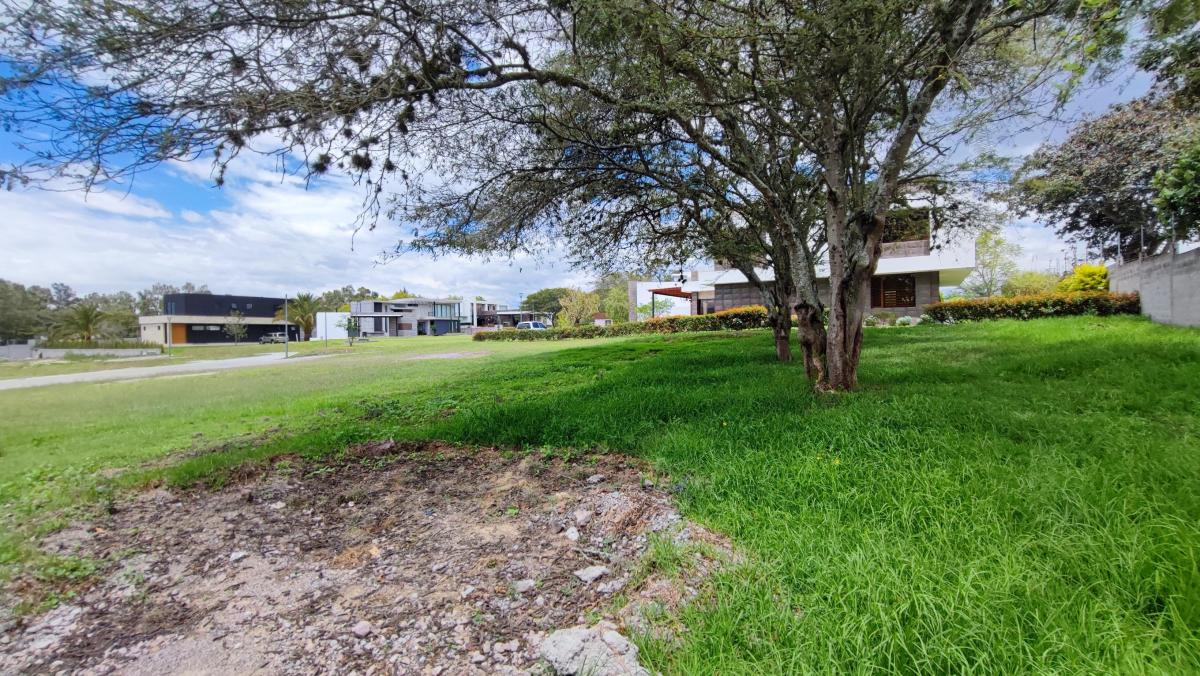 Venta Terreno Tumbaco Urbanización Exclusiva Colegio Cervantes 1096 m² — imagen 3