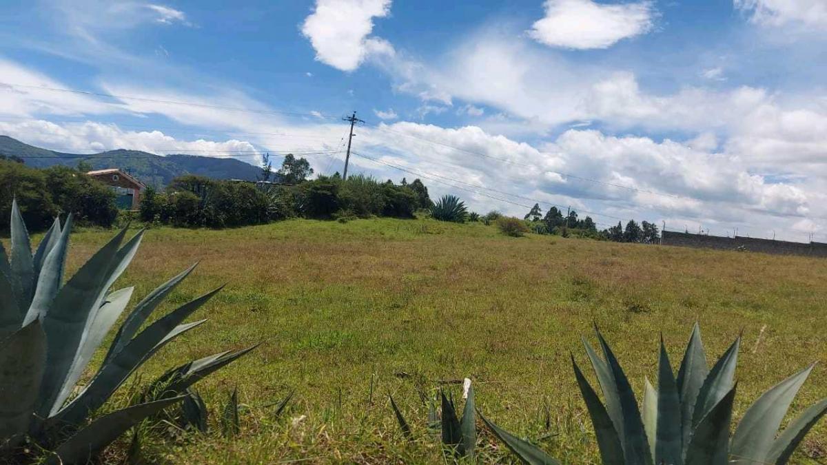 Venta Terreno Esquinero, Alangasi, Valle de Los Chillos — imagen 3
