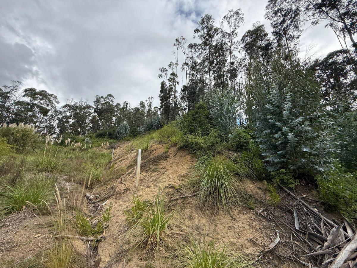 Terreno Dentro de Urbanizacion en Guangarcucho, Azuay — imagen 3