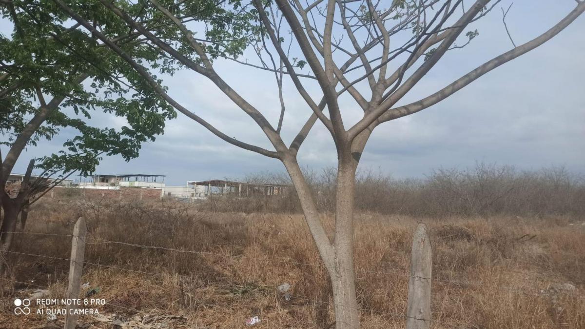 Terreno en Venta Las Orquideas Manta Zona Norte, Manabí — imagen 5