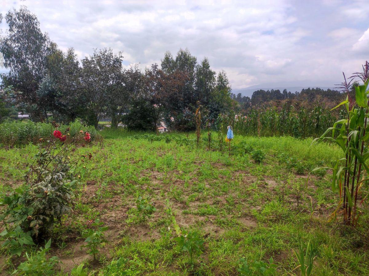 Venta Terreno Alangasi – Valle de Los Chillos, Terreno Plano — imagen 4