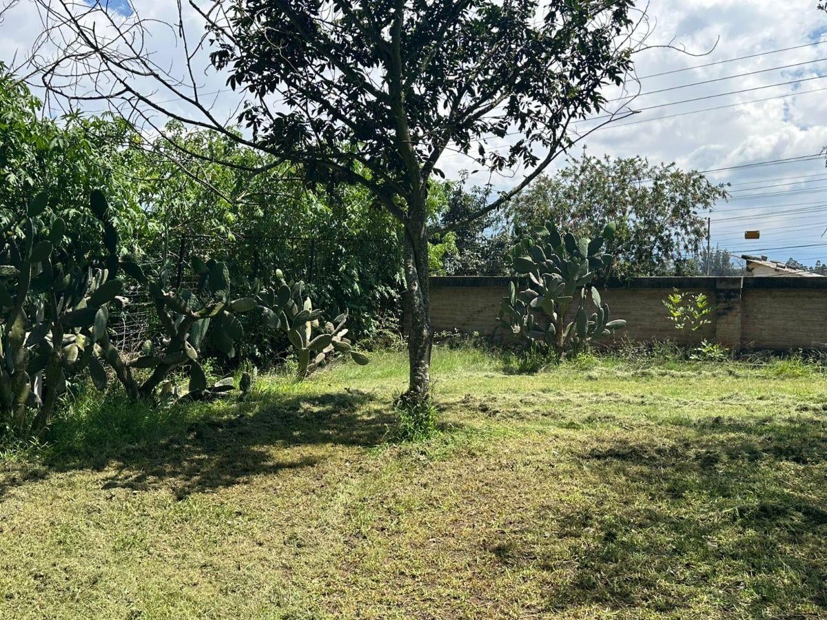 Terreno de Venta en Puembo — imagen 5