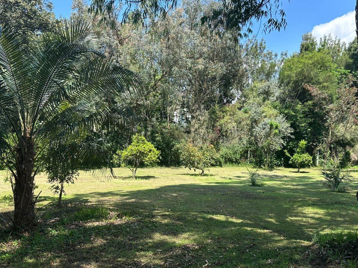 Terreno de Venta en Puembo — imagen 3