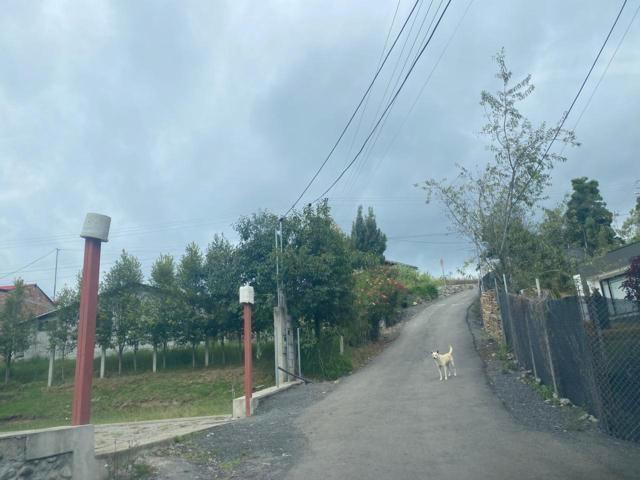 Terreno en Venta 2.700 m² a 5 Minutos de Challuabamba - Panamericana Norte Cuenca, Azuay — imagen 4