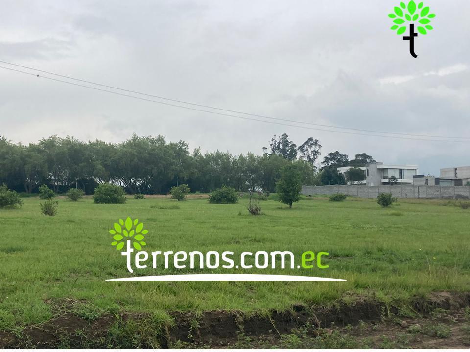 Terreno Unifamiliar en Venta, 3355,51 m². Tumbaco - Plaza Hilacril. Provincia de Pichincha — imagen 7