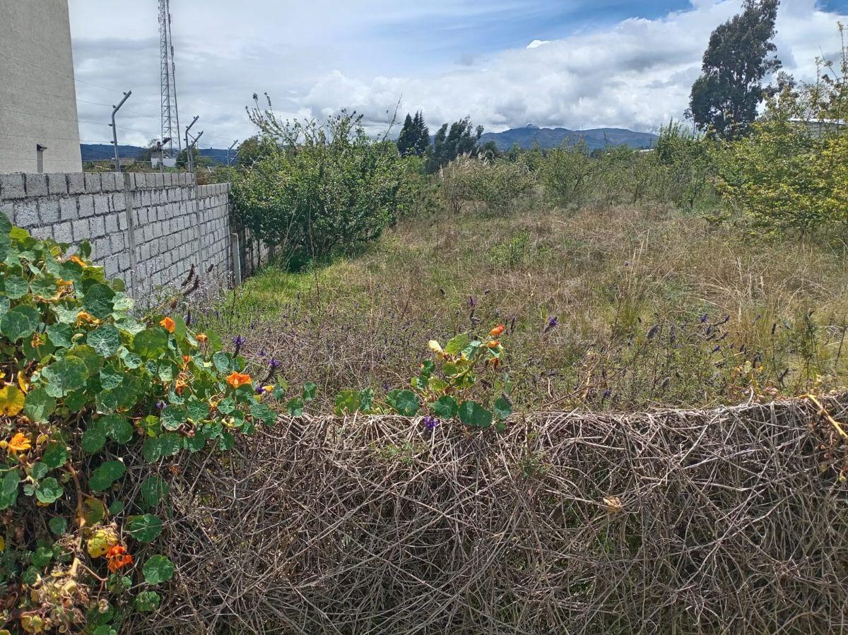 Terreno en Venta 1497,75 m Montalvo - Ambato, Tungurahua — imagen 4