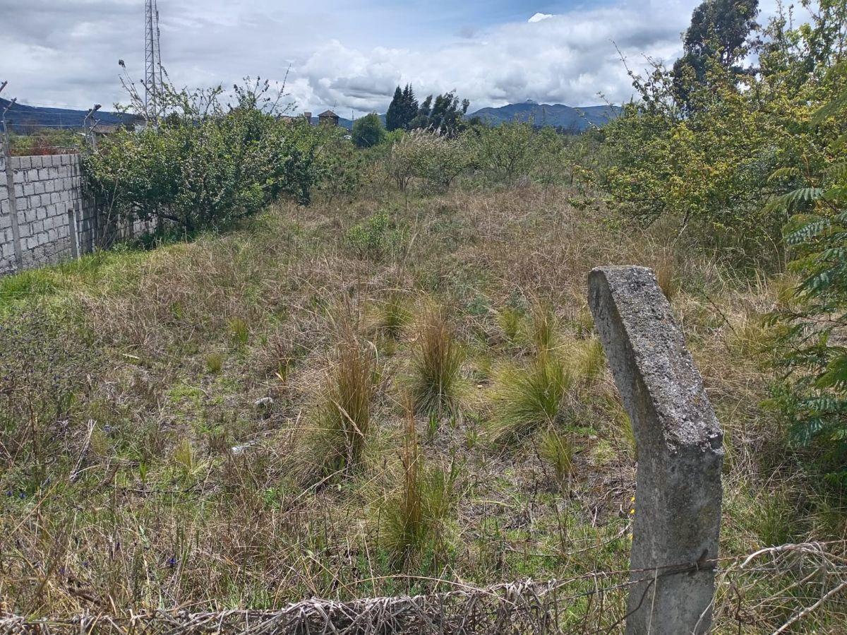 Terreno en Venta 1497,75 m Montalvo - Ambato, Tungurahua — imagen 3