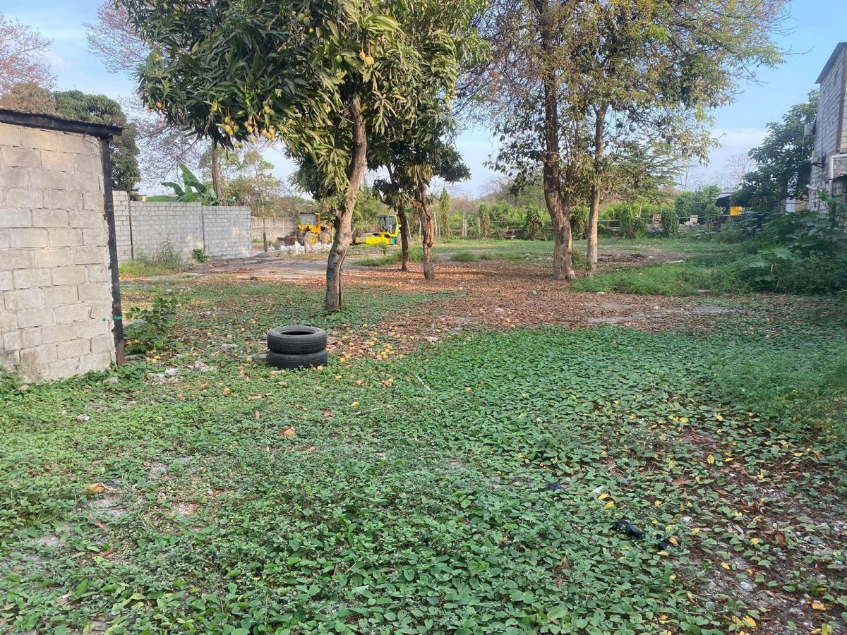 Dos Terreno en Zona Comercial en Sociedad Civil Vergeles, Guayas — imagen 4