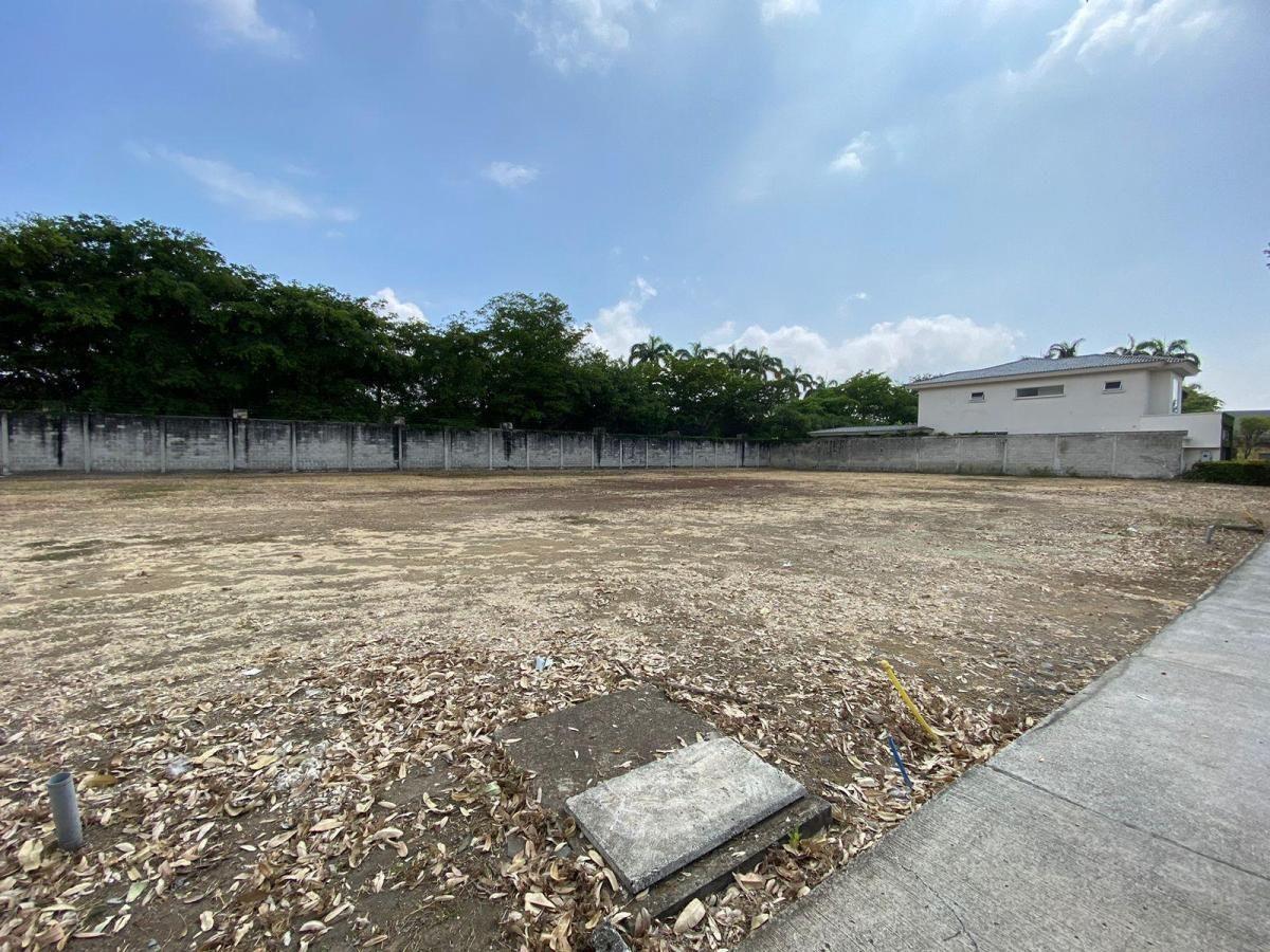 Terreno en Venta Ubicado en La Urb. Peninsula en Isla Mocoli - Samborondon, Guayas — imagen 4