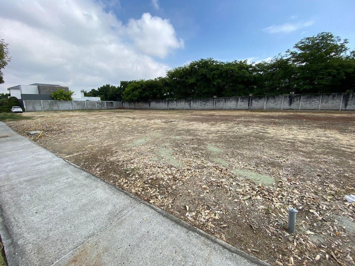 Terreno en Venta Ubicado en La Urb. Peninsula en Isla Mocoli - Samborondon, Guayas — imagen 3
