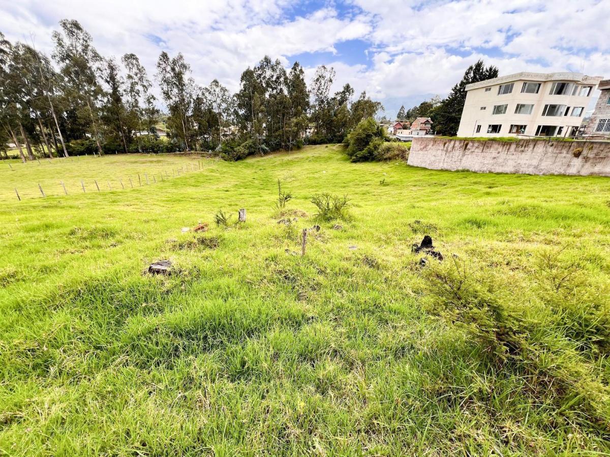Venta de Terreno - Sector Pintag — imagen 3