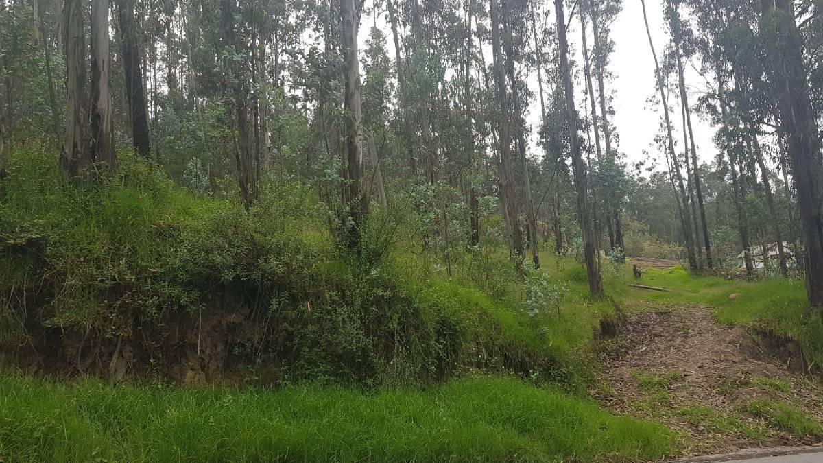 Vendo Terreno, Ideal Para Constructores, Sector Armenia — imagen 4
