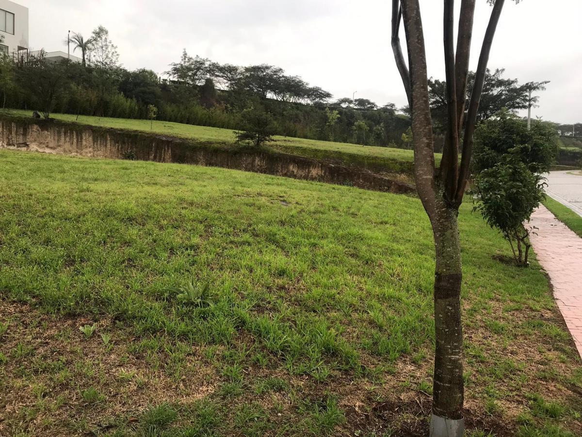Vendo Terreno Plano y Esquinero Dentro de Urbanizacion La Quinta — imagen 5