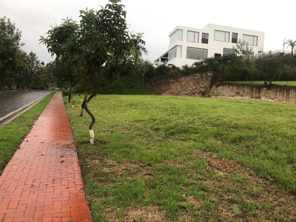 Vendo Terreno Plano y Esquinero Dentro de Urbanizacion La Quinta — imagen 4