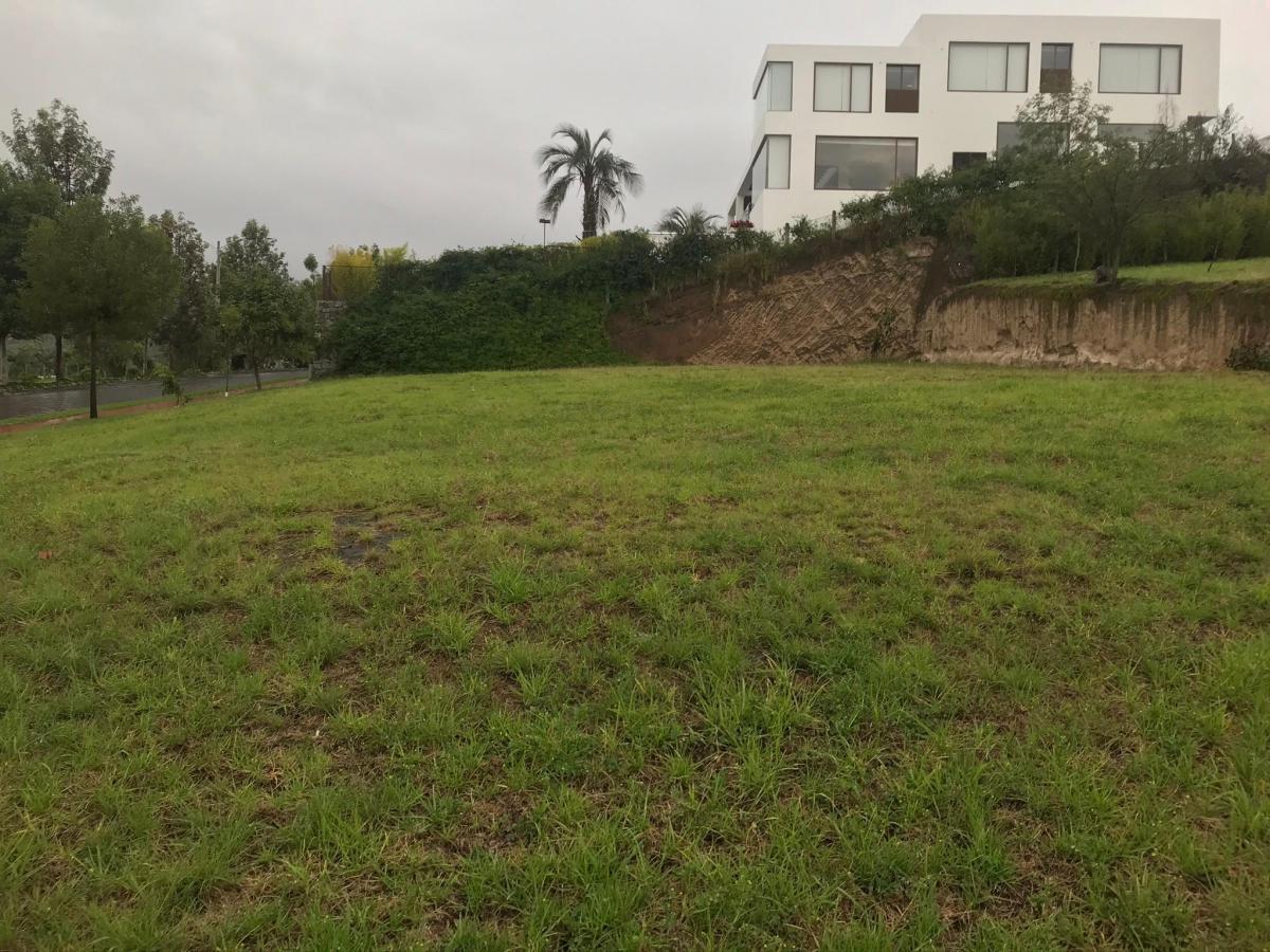 Vendo Terreno Plano y Esquinero Dentro de Urbanizacion La Quinta — imagen 3