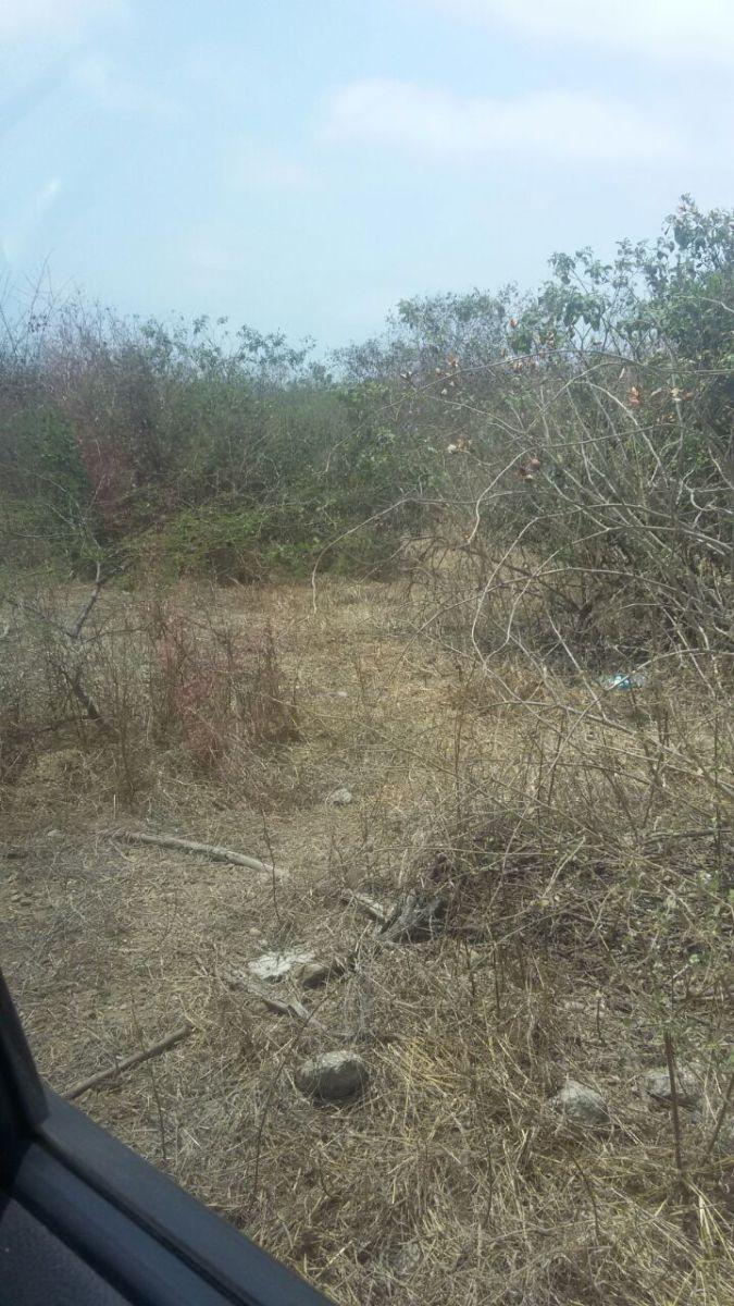 Terreno en Venta en Chanduy, Santa Elena — imagen 5