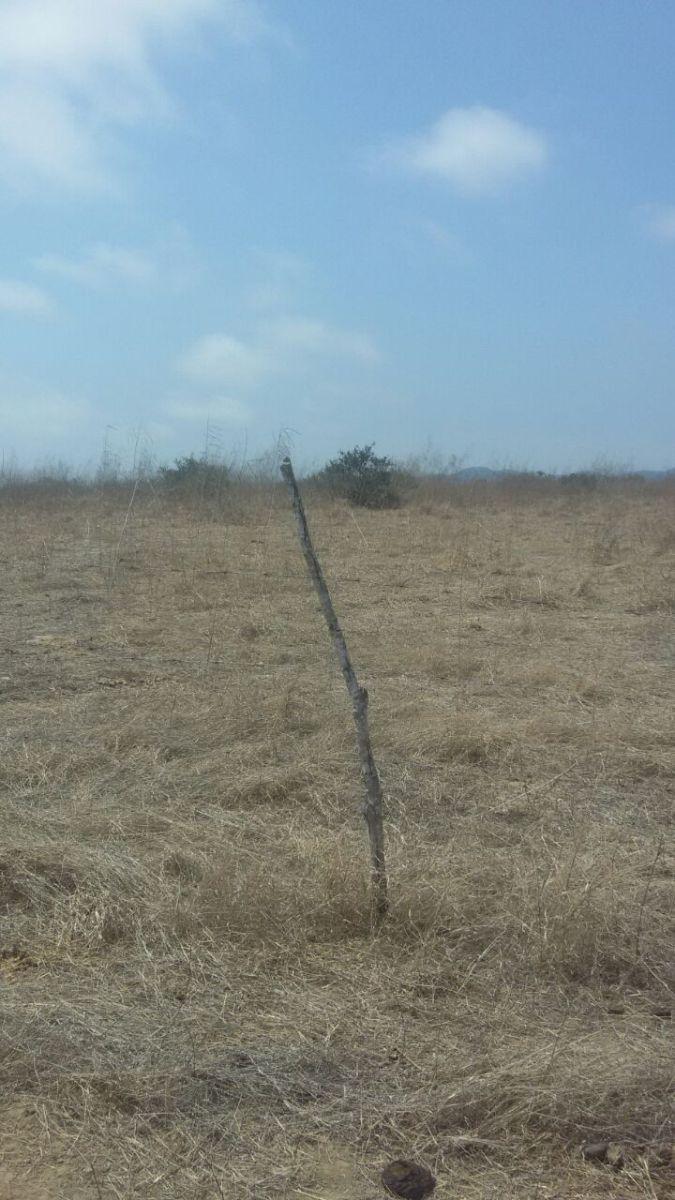 Terreno en Venta en Chanduy, Santa Elena — imagen 4
