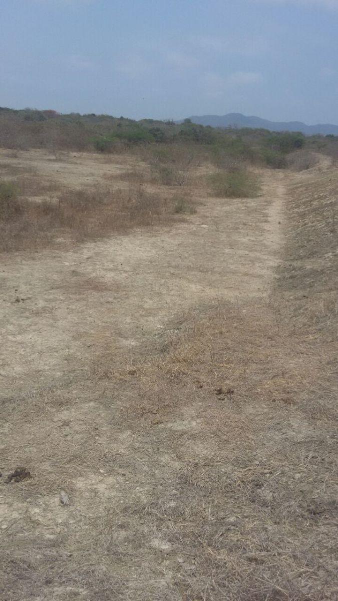 Terreno en Venta en Chanduy, Santa Elena — imagen 3