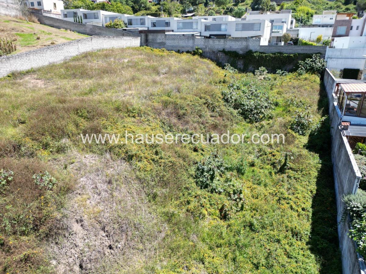 Terreno 2.492 m² en La Armenia, Sector Parque Metropolitano, Uso Residencial/comercial — imagen 5