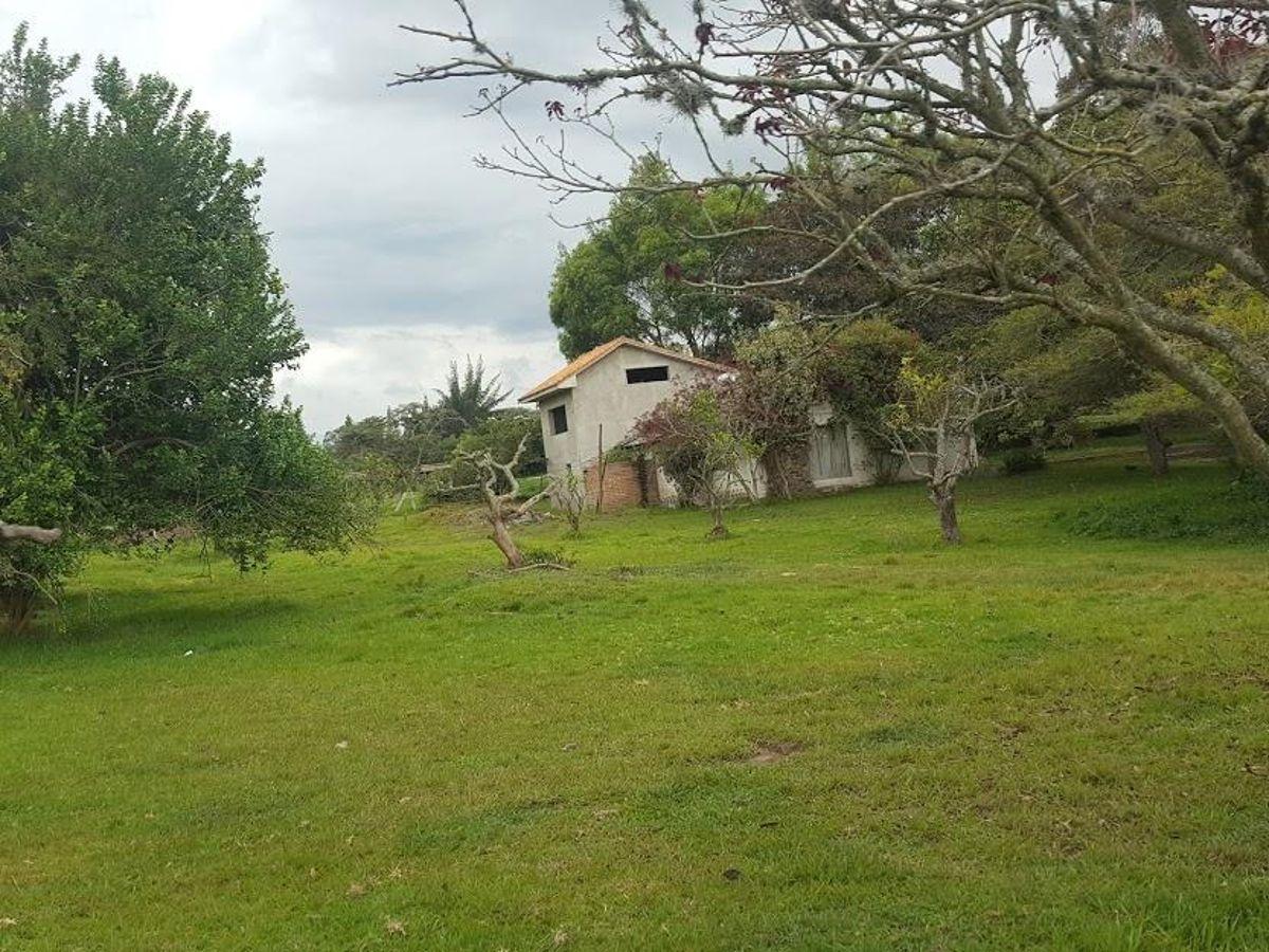 Venta Hermoso Terreno con Pequeña Casa en Yaruqui. con Pequeño Sembrio de Arándanos — imagen 4