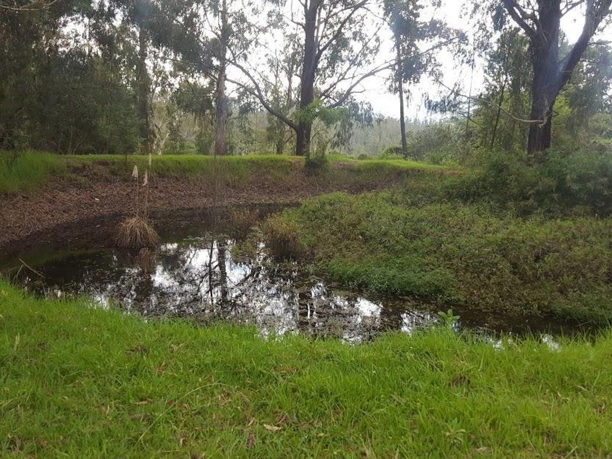 Venta Hermoso Terreno con Pequeña Casa en Yaruqui. con Pequeño Sembrio de Arándanos — imagen 3
