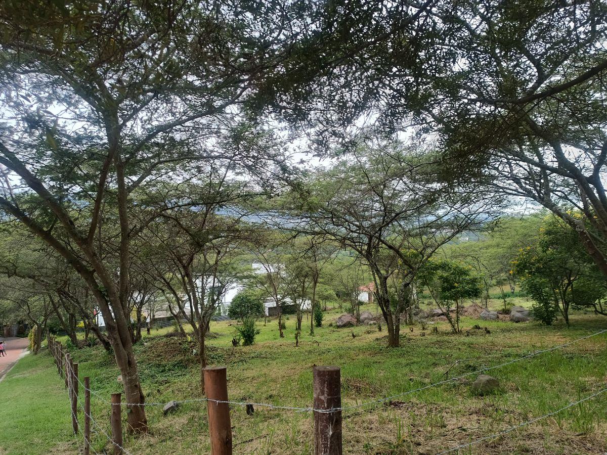 Vendo 2 Terrenos de 1250 m² en Urbanización en La Viña, Tumbaco — imagen 3