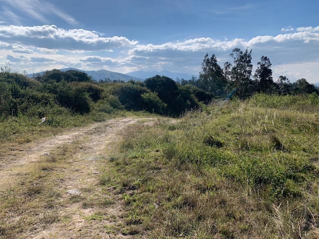 Vendo Terreno Industrial I3 2.5 Hac 117 m de Frente a La E35 $1.800.000,00 — imagen 5