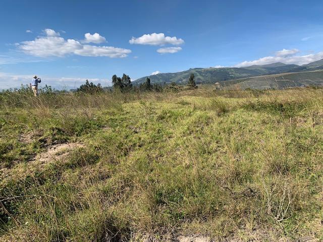 Vendo Terreno Industrial I3 2.5 Hac 117 m de Frente a La E35 $1.800.000,00 — imagen 4