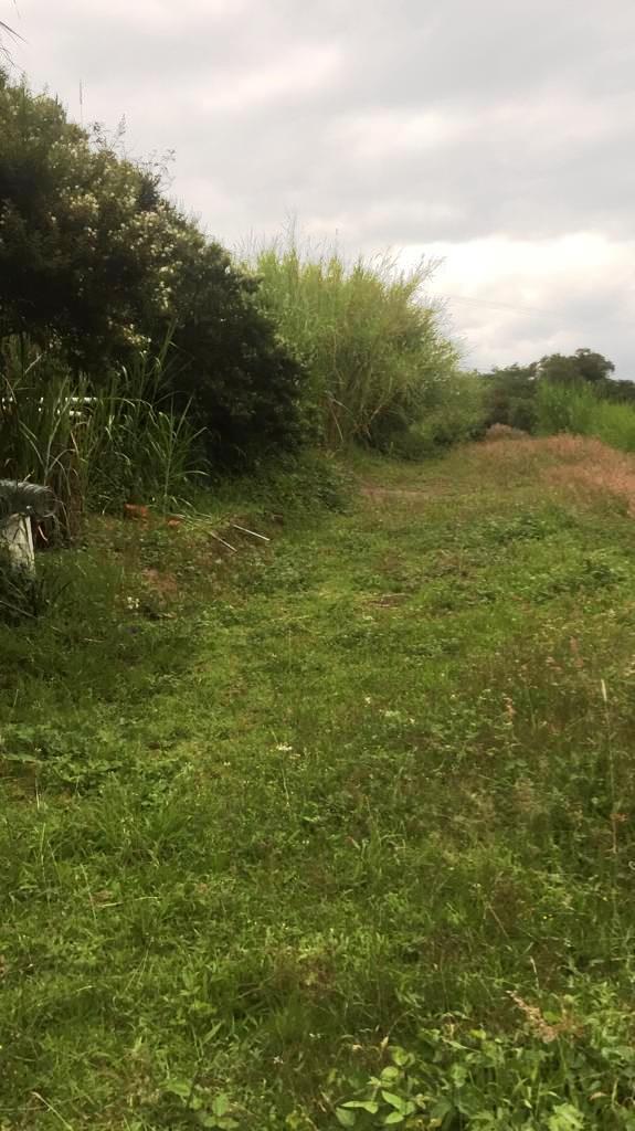 Amplio Terreno de 1000 m² en Venta en Tumbaco Chiviquí — imagen 5