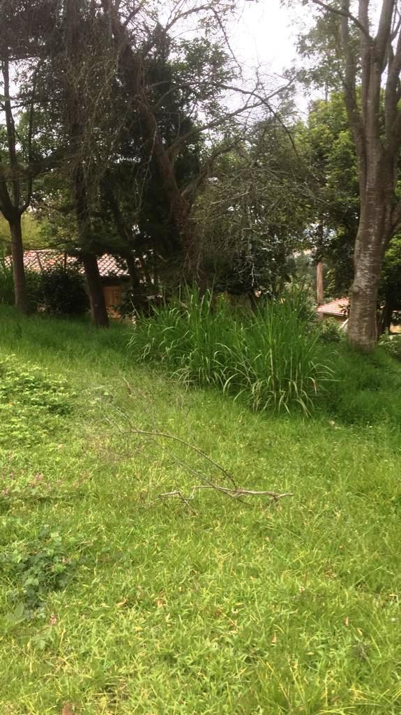 Amplio Terreno de 1000 m² en Venta en Tumbaco Chiviquí — imagen 3