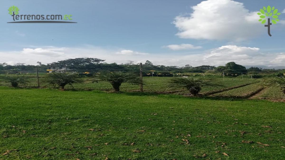 Terreno de Venta de 6.800 m² en Centro de Tababela — imagen 5