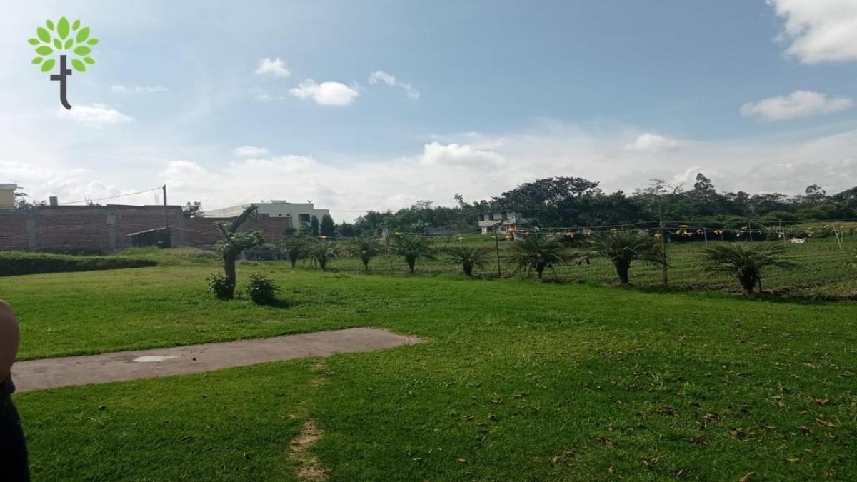 Terreno de Venta de 6.800 m² en Centro de Tababela — imagen 3